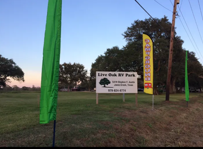 Live Oak RV Park Picture 8