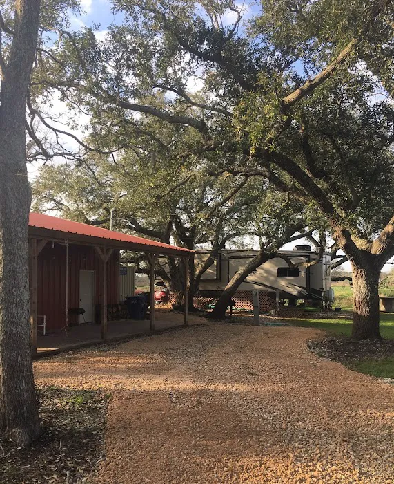 Live Oak RV Park Picture 10