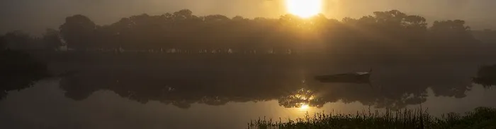 Live Oak RV Park Picture 7