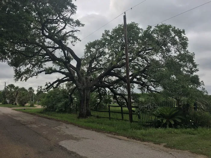 Oasis Mobile Home & RV Park Picture 9