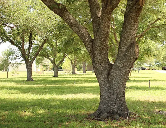 Markham RV and Mobile Home Park Picture 7