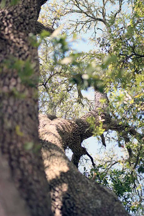 Markham RV and Mobile Home Park Picture 6