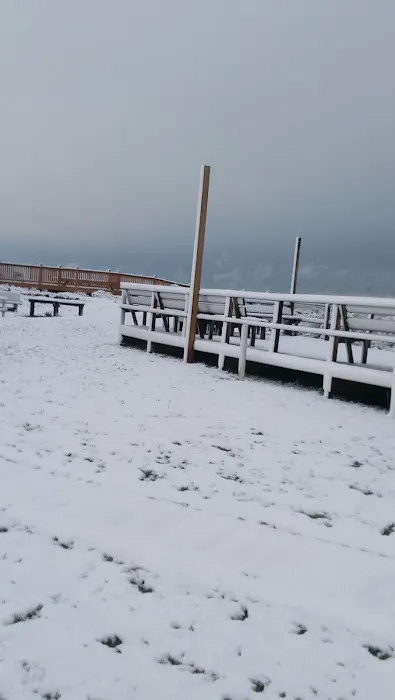 Surfside Beach RV Park Picture 8