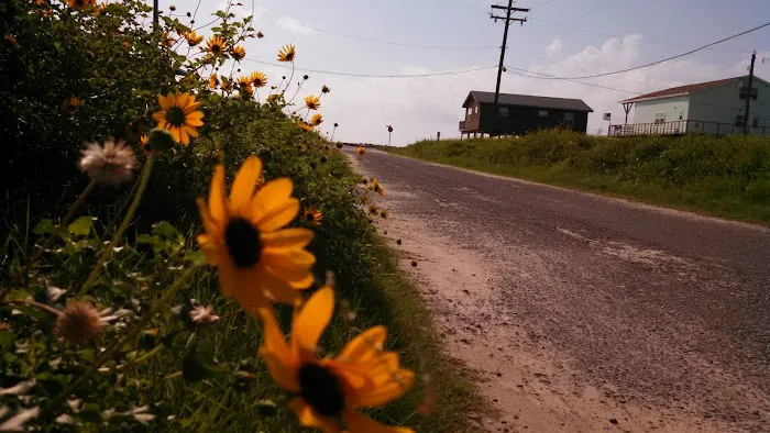 Austin's Landing RV Park Resort Picture 6