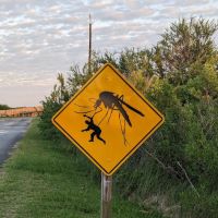 Quintana Beach County Park ico