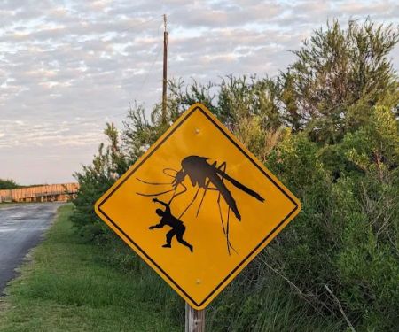 Quintana Beach County Park