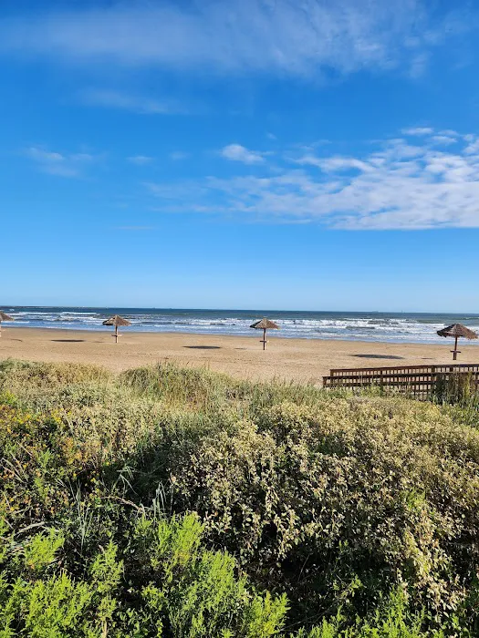 Quintana Beach County Park Picture 2