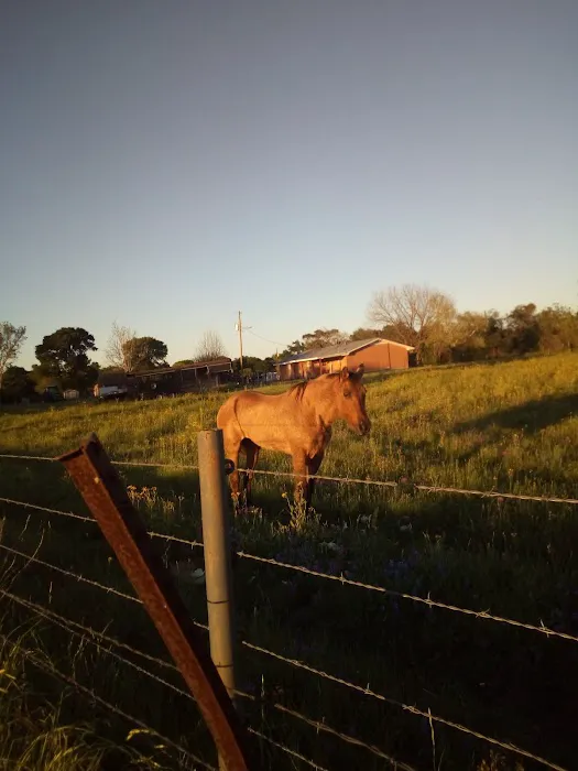 Riverwood Acres R.V. Park Picture 1