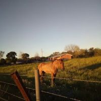 Riverwood Acres R.V. Park ico