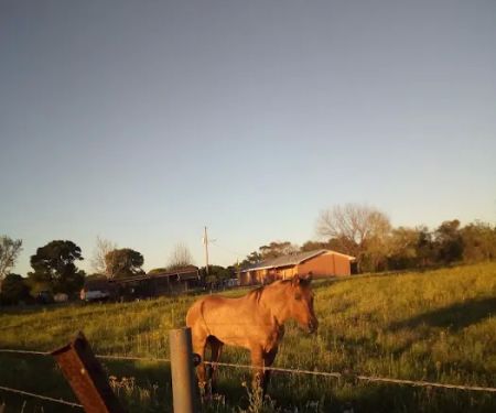 Riverwood Acres R.V. Park