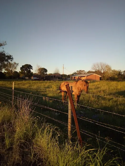 Riverwood Acres R.V. Park Picture 5