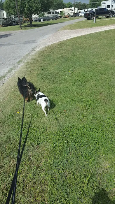 Bastrop RV Park Picture 3