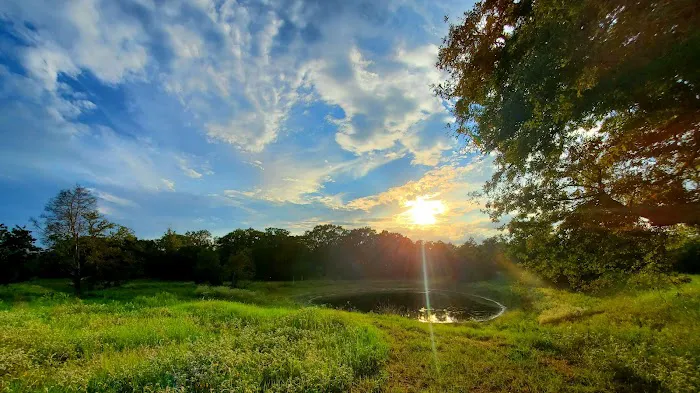 Bellamont RV Park Picture 3