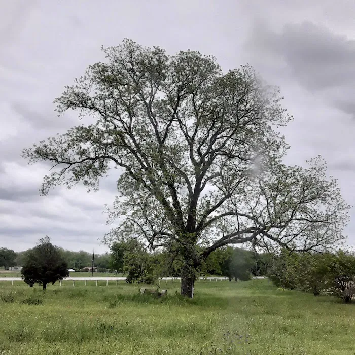 Colorado RV Park Picture 9