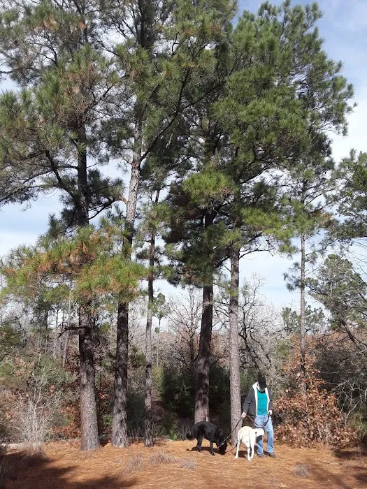 Lost Pines RV Park Picture 10