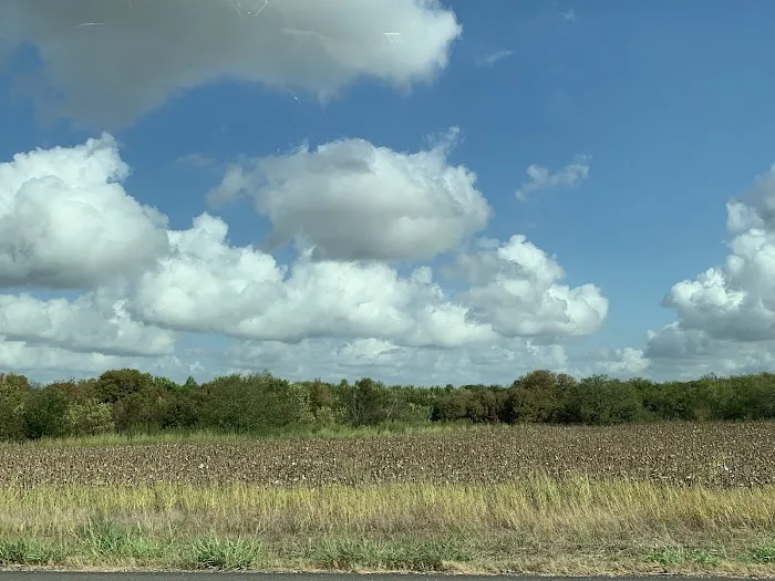 East Austin RV Park Picture 5