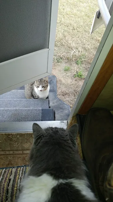 Outback RV Campground Picture 4