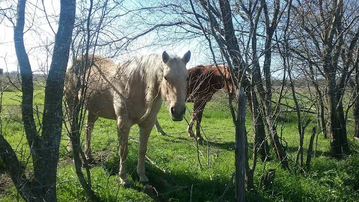 Shiner Boggy Creek RV Park Picture 9