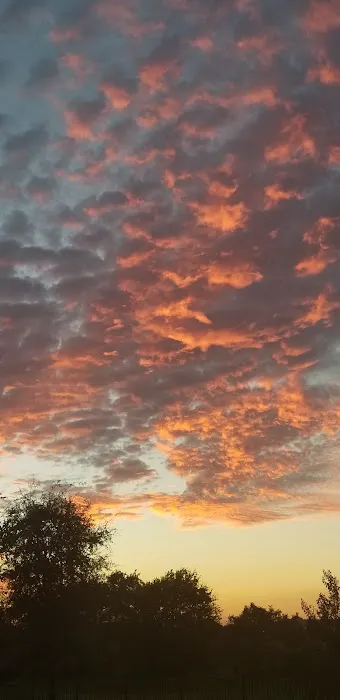 Green-Dickson Park-RV Entrance Picture 1