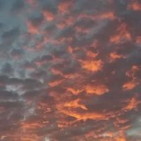 Green-Dickson Park-RV Entrance ico