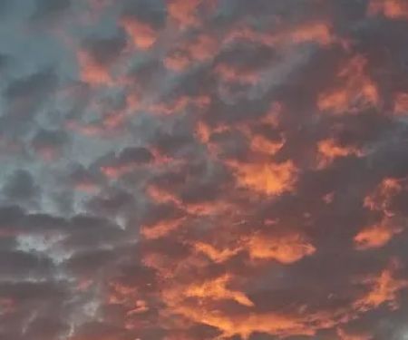 Green-Dickson Park-RV Entrance