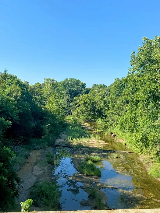 The Cozy Pines Cabin & RV Park Picture 6