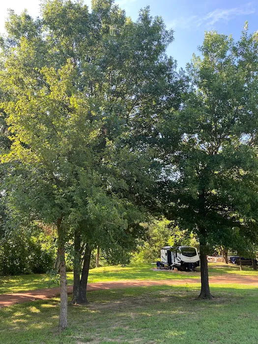 The Cozy Pines Cabin & RV Park Picture 4