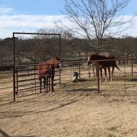 Rocker B Ranch ico