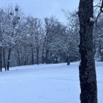 The RV Patch - RV Park Kingston, OK