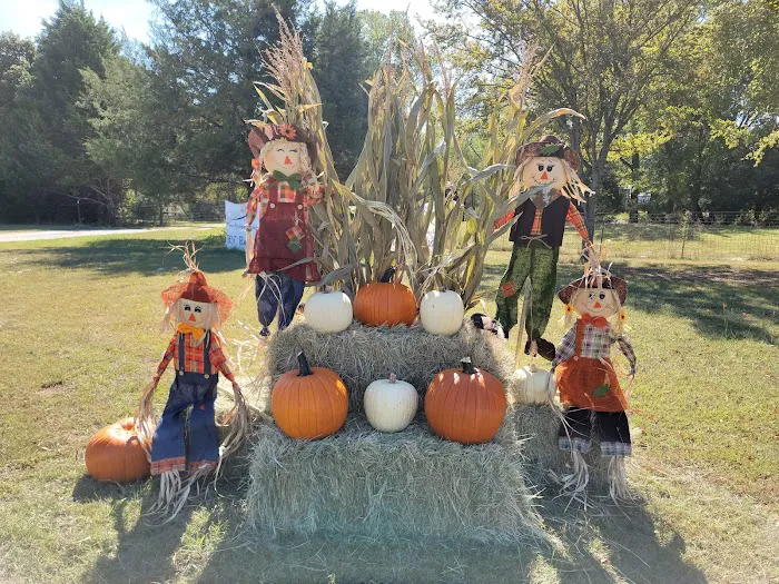 Two Bridges Ranch Tiny Home Resort, RV Park and Horse Hotel Picture 2