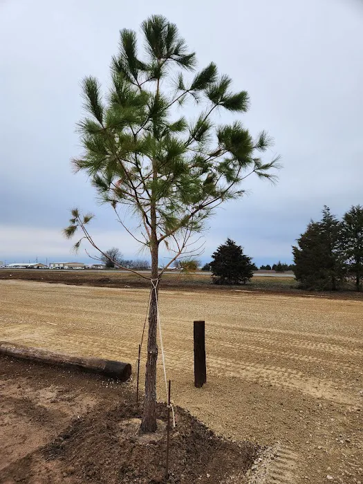 Maverick's RV Park Picture 3