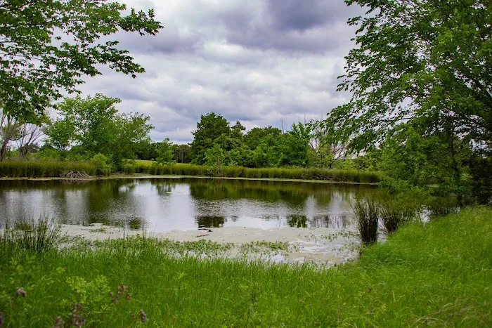 Queen & Duke RV Resort Picture 8