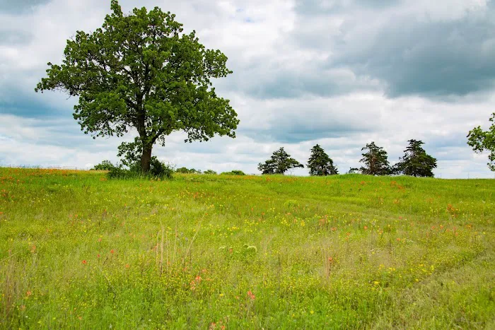 Queen & Duke RV Resort Picture 5