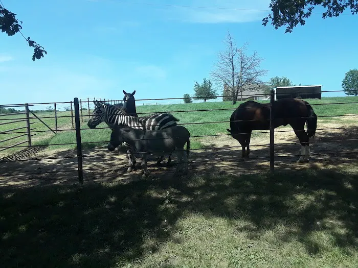 Four Aces Highway 82 RV Park Picture 4