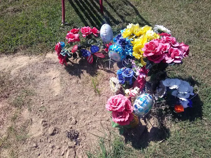 Four Aces Highway 82 RV Park Picture 6