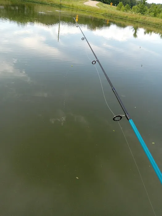 Little River RV park Picture 1