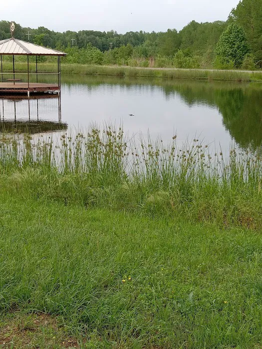 Little River RV park Picture 4