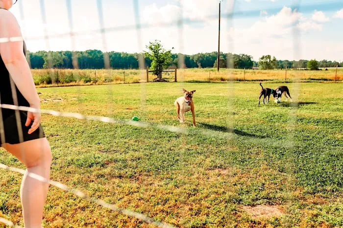 Chapel Hill RV Park Picture 7