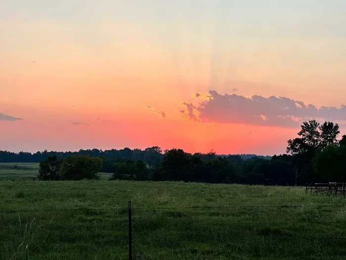 Chapel Hill RV Park Picture 10