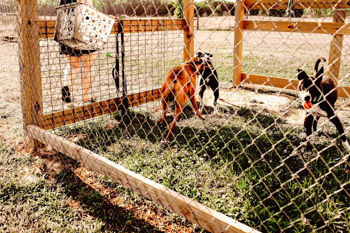 Chapel Hill RV Park Picture 6