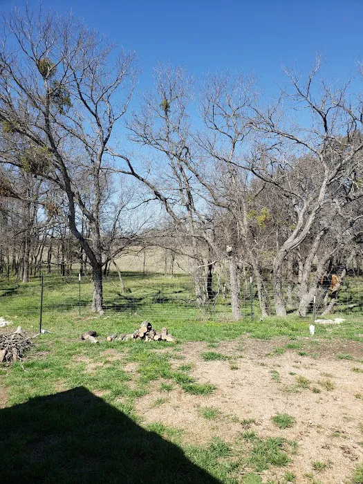 Rocky River RV Resort Picture 8