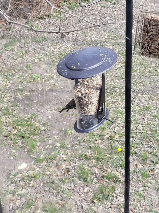 Oakview Hills RV Park Picture 9