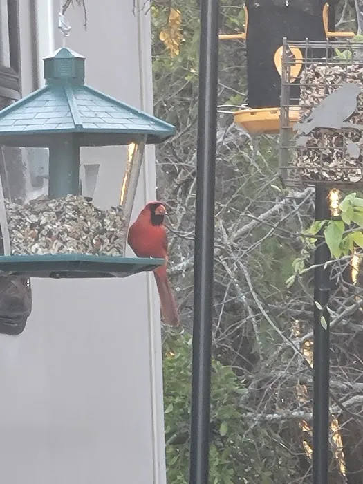 Oakview Hills RV Park Picture 1