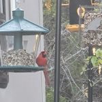 Oakview Hills RV Park