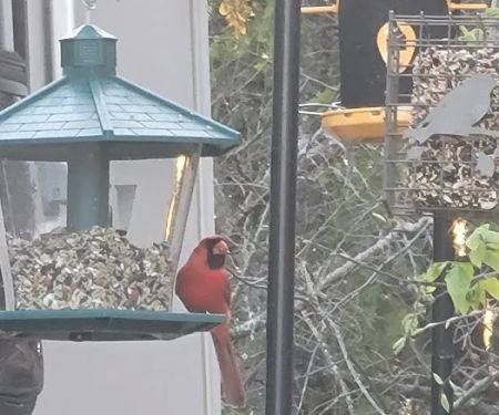 Oakview Hills RV Park