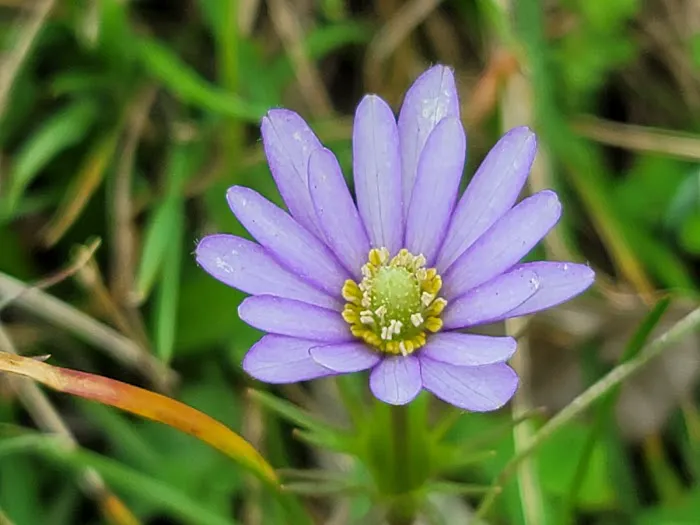 Oakview Hills RV Park Picture 5