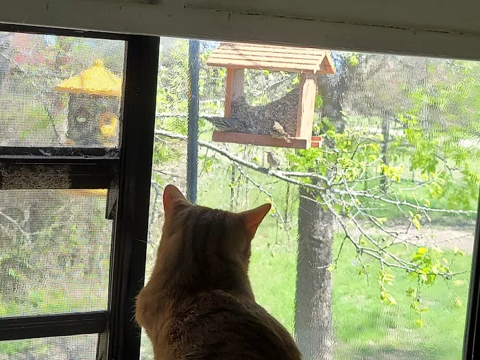 Oakview Hills RV Park Picture 3