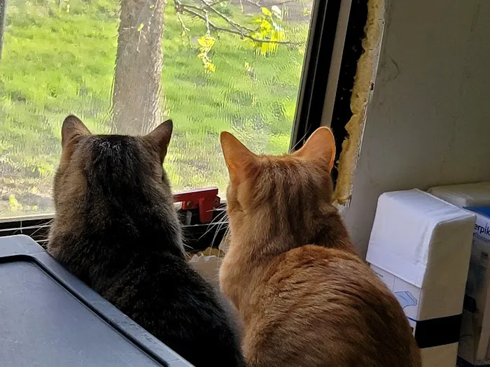 Oakview Hills RV Park Picture 4