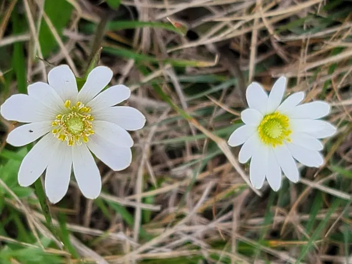 Oakview Hills RV Park Picture 6