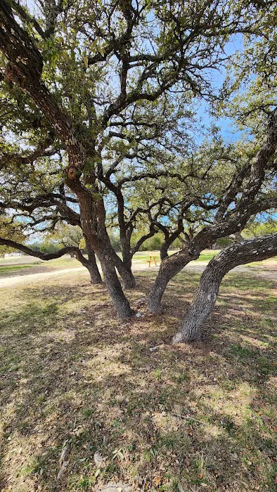 Bluebonnet Acres RV Park Picture 9